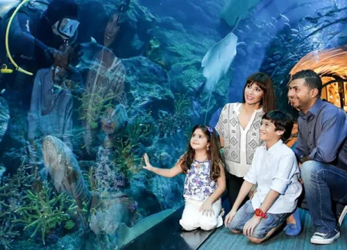 Dubai Aquarium And Underwater Zoo