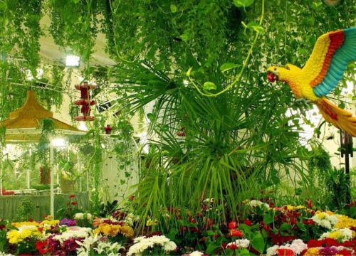 Combo : Miracle Garden Dubai & Butterfly Garden