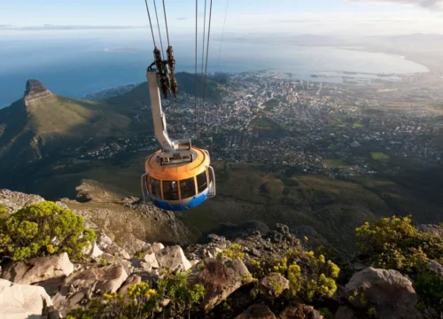 Cape Town & Johannesburg (South Africa)
