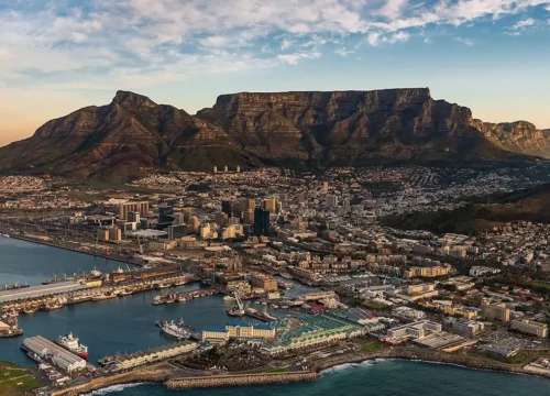 Cape Town White Shark Experience