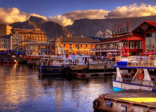 Cape Town The Wine Route