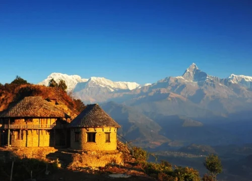 Desire Nepal