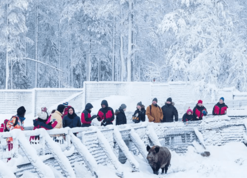 Finland (Rovaniemi – The Santaland)
