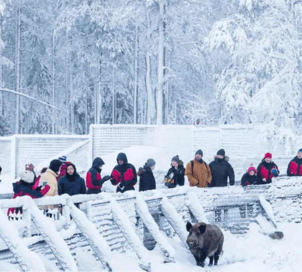 Rovaniemi