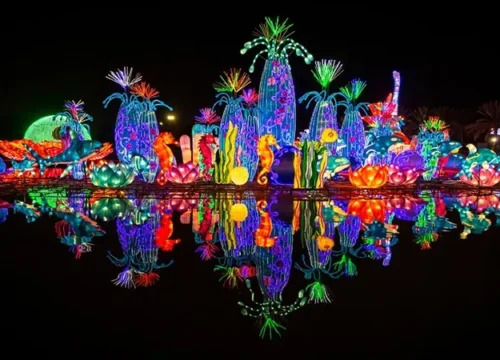 Glow Garden