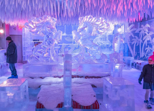 Combo : The Green Planet + Chillout Ice Lounge