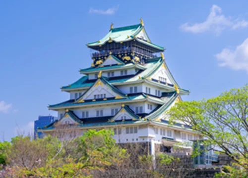 Japan & Korea Blossoms, Temples, and Skylines