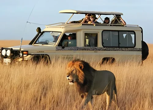 Kenya