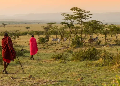 Kenya's Wildlife & Lake Safari