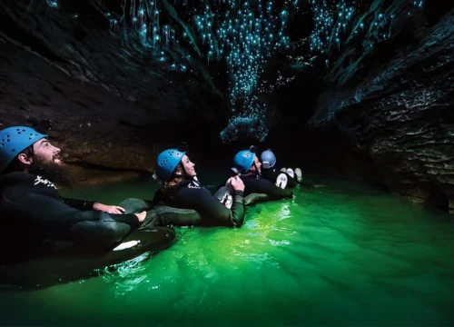 New Zealand Kiwi Odyssey