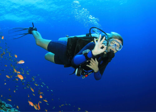 Scuba Diving Tour