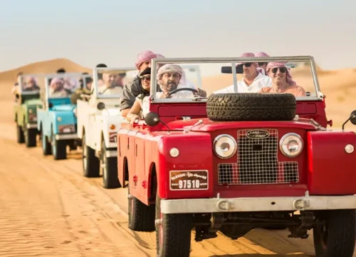 Desert Safari with BBQ and Night Show