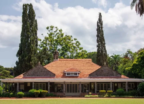 Kenya Migration Safari Adventure