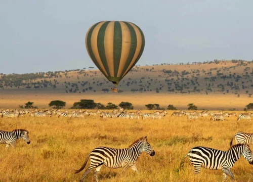 Wild Wonders of Tanzania