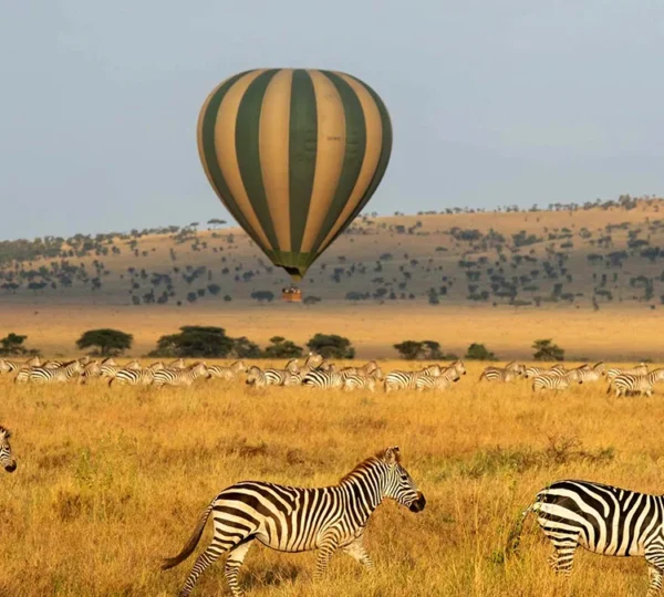 Arusha