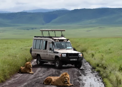The Great Tanzanian Safari A Journey through Nature