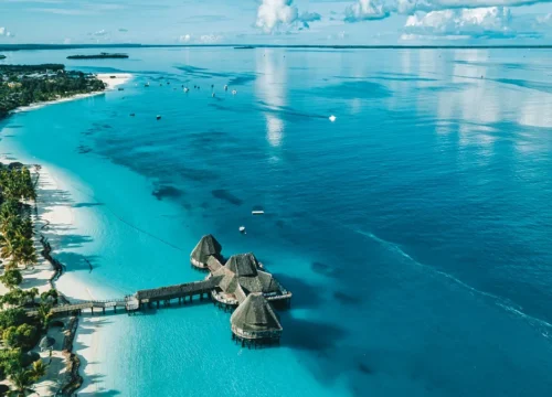 Tropical Wonders of Zanzibar