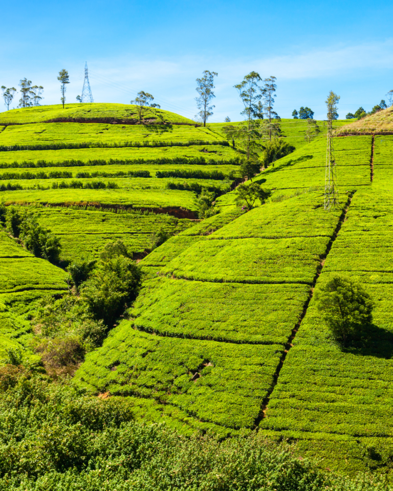 Sri Lanka