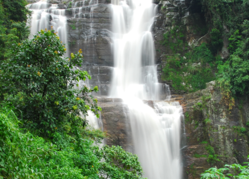 Sri Lanka From Jungle to Coast